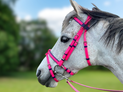 Pony Bridle